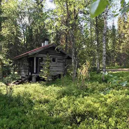Chalet Eraemoekki - Wilderness Kynsijaervi