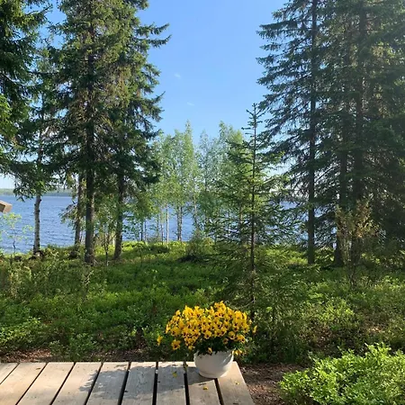 Eraemoekki - Wilderness Kynsijaervi